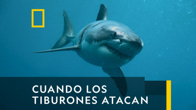 Imagen de Cuando los tiburones atacan  - 2