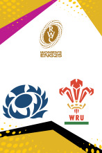 Imagen de Grupo  B: Escocia - Gales - 1