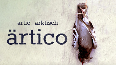 Imagen de Artico - 2