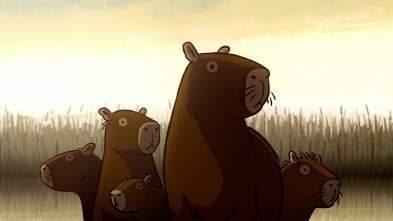 Imagen de Capibaras - 4