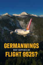 Imagen de Germanwings: ¿Qué ocurrió en el vuelo 9525? - 1