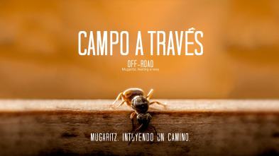 Imagen de Campo a través. Mugaritz, intuyendo el camino - 2