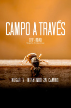 Imagen de Campo a través. Mugaritz, intuyendo el camino - 1