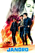 Imagen de Jandro - 1