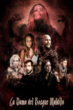 Imagen de La dama del bosque maldito - 1