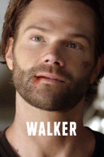 Imagen de Walker (T3) - 1
