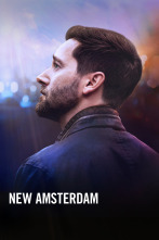 Imagen de New Amsterdam (T5) - 1