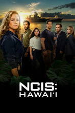 Imagen de NCIS: Hawai'i (T2) - 1
