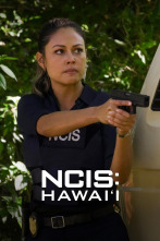 Imagen de NCIS: Hawai'i (T1) - 1