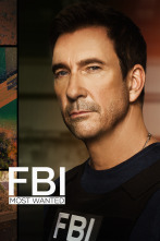 Imagen de FBI: Most Wanted (T4) - 1