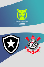 Imagen de Jornada 17: Botafogo - Corinthians - 1