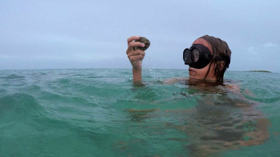 Imagen de Aventura en pelotas: Perdido en el mar - 2