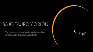 Imagen de Bajo Tauro y Orión - 2