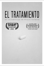 Imagen de El tratamiento - 1