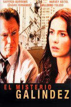 Imagen de El misterio Galíndez - 1