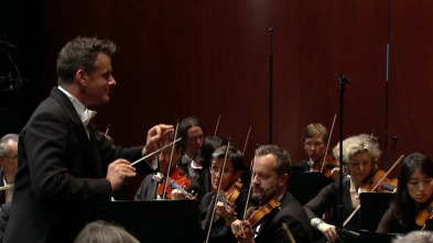 Imagen de Beethoven - Symphony No. 8 in F major, Op. 93 - 2