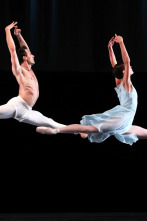 Imagen de Hans van Manen Tribute - 1