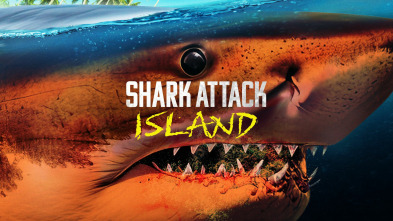 Imagen de Tiburones: muerte en el paraíso - 2