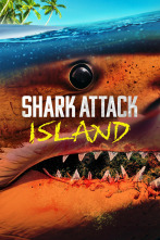 Imagen de Tiburones: muerte en el paraíso - 1