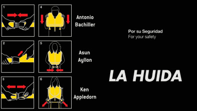 Imagen de La huida - 2