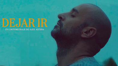 Imagen de Dejar ir - 2
