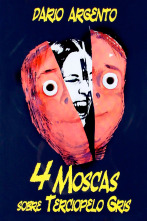 Imagen de Cuatro moscas sobre terciopelo gris - 1