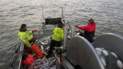Imagen de Alaska, batalla en el mar: A cobrar - 2