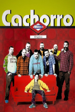 Imagen de Cachorro - 1