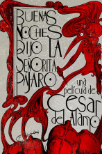 Imagen de Buenas noches, dijo la Señorita Pájaro - 1