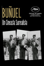Imagen de Buñuel, un cineasta surrealista - 1
