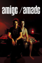 Imagen de Amigo, amado - 1