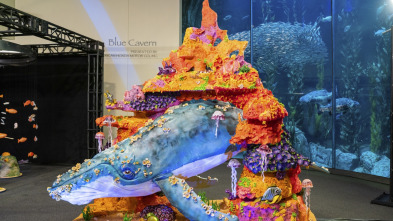 Imagen de Buddy contra Duff (T2): Pastel del acuario - 2