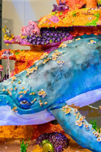 Imagen de Buddy contra Duff (T2): Pastel del acuario - 1