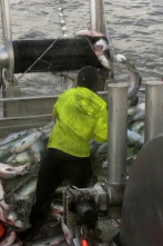 Imagen de Alaska, batalla en el mar: A cobrar - 1