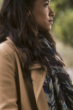Imagen de The Flash (T2): Ep.21 Dinosarurio a la fuga - 1