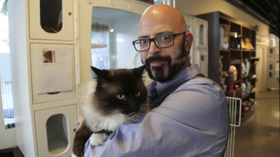 Imagen de El encantador de... (T8): Gato salvaje - 2
