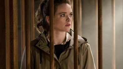 Imagen de The Flash, Season 3 (T3): Ep.13 Ataque contra Gorila City - 2
