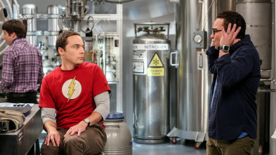 Imagen de The Big Bang Theory (T10): Ep.3 La trascendencia de la dependencia - 2