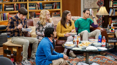 Imagen de The Big Bang Theory (T10): Ep.9 La elevación de la geología - 2