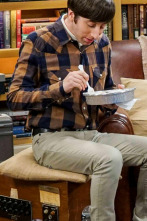 Imagen de The Big Bang Theory (T10): Ep.9 La elevación de la geología - 1