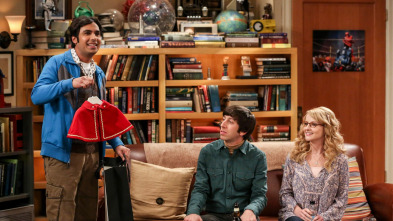 Imagen de The Big Bang Theory (T10): Ep.16 La evaporación de la asignación - 2