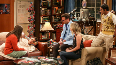 Imagen de The Big Bang Theory (T10): Ep.20 La disipación de los recuerdos - 2