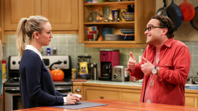 Imagen de The Big Bang Theory (T10): Ep.22 La regeneración de la cognición - 2