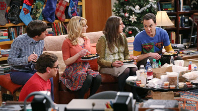 Imagen de The Big Bang Theory (T8): Ep.11 La infiltración en la sala blanca - 2