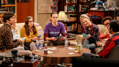 Imagen de The Big Bang Theory (T11): Ep.3 La integración de la relajación - 2