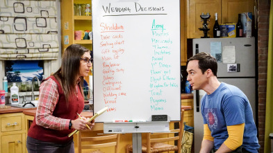 Imagen de The Big Bang Theory (T11): Ep.10 La erosión de la seguridad - 2