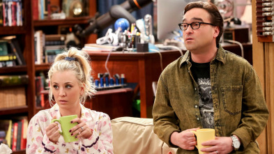 Imagen de The Big Bang Theory (T11): Ep.11 La reverberación de la celebración - 2