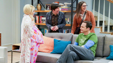 Imagen de The Big Bang Theory (T11): Ep.16 La nomenclatura neonatal - 2
