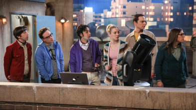 Imagen de The Big Bang Theory (T11): Ep.21 La polarización del cometa - 2