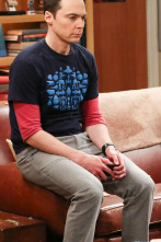 Imagen de The Big Bang Theory (T11): Ep.23 La realineación fraternal - 1